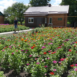 Сумська філія УІЕСР