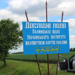 Волинська філія УІЕСР