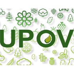 Нігерія стала 80-м членом Міжнародного союзу з охорони нових сортів рослин (UPOV)