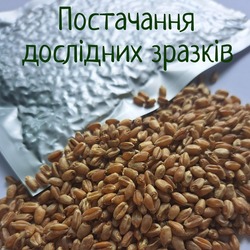 Шановні заявники!