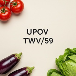 П’ятдесят дев’ята сесія Технічної робочої групи з овочевих культур (TWV) (UPOV)