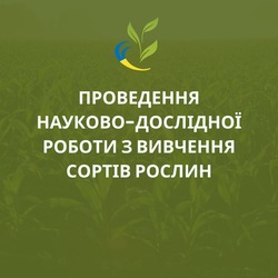 ПРОВЕДЕННЯ НАУКОВО-ДОСЛІДНОЇ РОБОТИ З ВИВЧЕННЯ СОРТІВ РОСЛИН