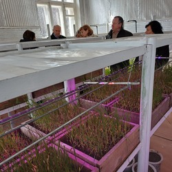 Перевірка морозостійкості