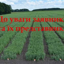 Інформація про стан та розвиток ботанічних таксонів озимого типу ріпаку під урожай 2018 року