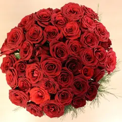 Ювілей директора УІЕСР