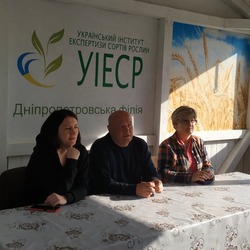 Закладання сортодослідів  в  Дніпропетровській філії УІЕСР