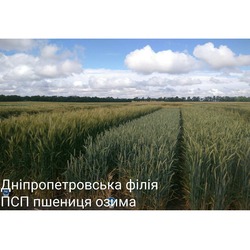 Дніпропетровська філія УІЕСР