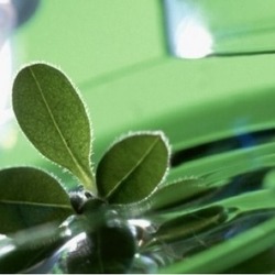 Запрошуємо взяти участь у роботі конференції 