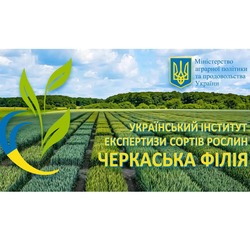 Черкаська філія УІЕСР