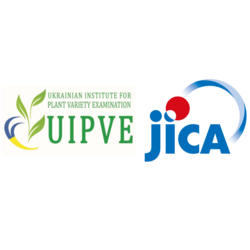 Робоча зустріч з представниками Японського агентства міжнародного співробітництва (JICA)