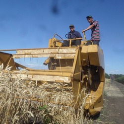 Луганська філія УІЕСР