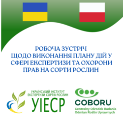 Робоча зустріч УІЕСР та COBORU: підбиття підсумків і визначення пріоритетів на майбутнє