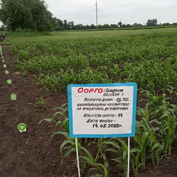 Полтавська філія УІЕСР