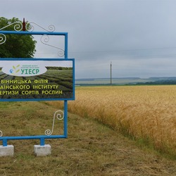 Вінницька філія УІЕСР