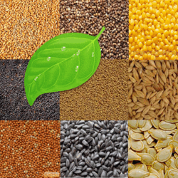 Шановні заявники (представники)!  