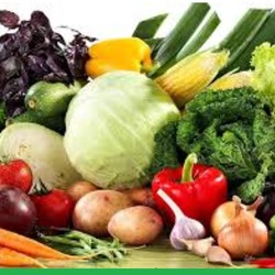  X міжнародна науково-практична конференція «Овочівництво і баштанництво: історичні аспекти, сучасний стан, проблеми і перспективи розвитку»