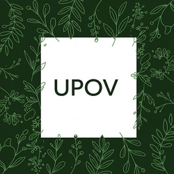 Засідання Технічної робочої групи з декоративних рослин і лісових дерев (TWO,UPOV)