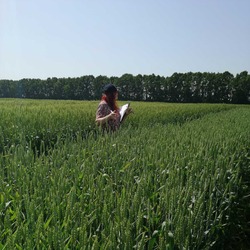 Інформація щодо проведення перевірки