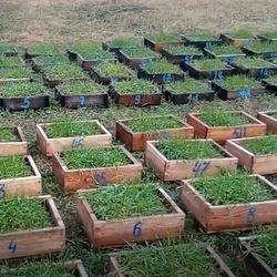 ДО УВАГИ ЗАЯВНИКІВ