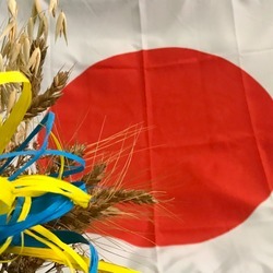 Навчання з використання та обслуговування селекційних сівалок та комбайнів, що отримано в рамках грантової допомоги ‑ «Програма екстреного відновлення» від Уряду Японії через Японське агентство міжнародного співробітництва (JICA).