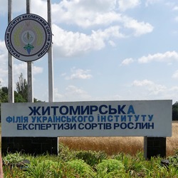 Житомирська філія УІЕСР