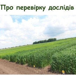 Результати перевірки польових дослідів