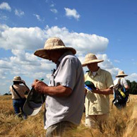 МІЖНАРОДНЕ СПІВРОБІТНИЦТВО