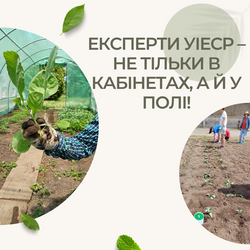 Експерти УІЕСР – не тільки в кабінетах, а й у полі!