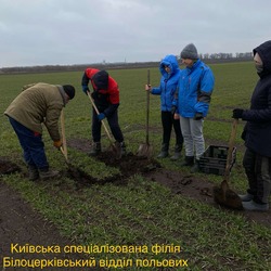 ВИЗНАЧЕННЯ СТАНУ ПОСІВІВ БОТАНІЧНИХ ТАКСОНІВ ОЗИМОГО ТИПУ РОЗВИТКУ