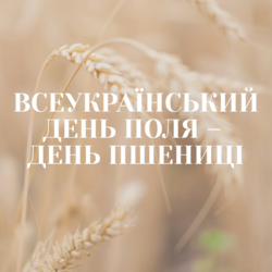 Всеукраїнський день поля – День пшениці