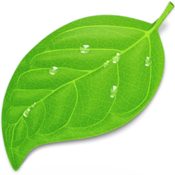 Інформація щодо інтернет-конференції молодих учених