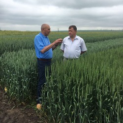 Тернопільська філія УІЕСР